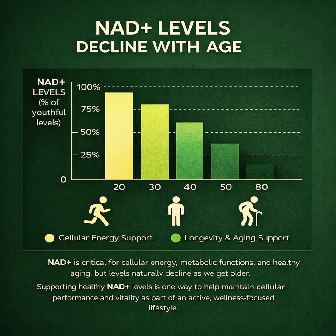 NAD+ Daily Renewal