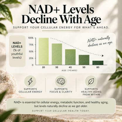 NAD+ Daily Renewal