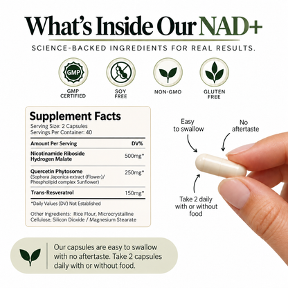 NAD+ Daily Renewal