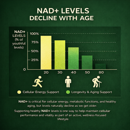 NAD+ Daily Renewal