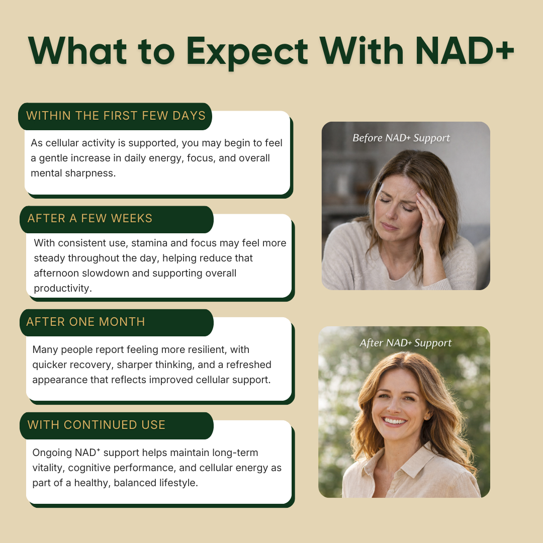NAD+ Daily Renewal